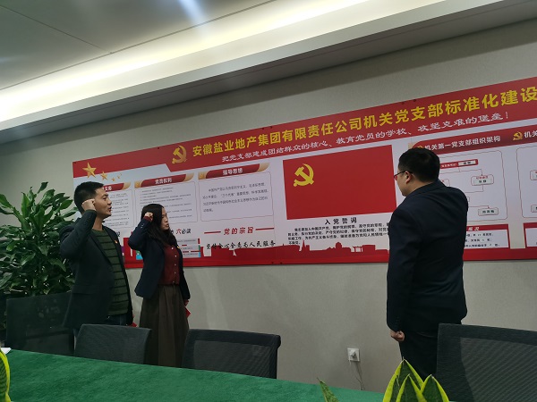 安徽鹽業(yè)地產(chǎn)集團(tuán)機(jī)關(guān)第一黨支部開展“佩黨徽、誦誓詞、贈(zèng)黨章、上黨課”黨員教育活動(dòng)